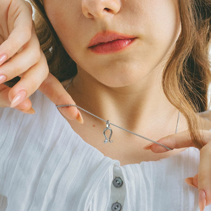 horseshoe zirconia necklace n4