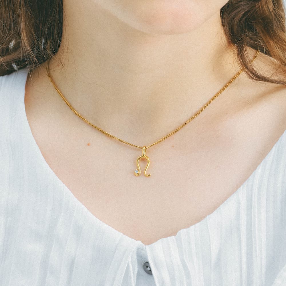 horseshoe zirconia necklace n4