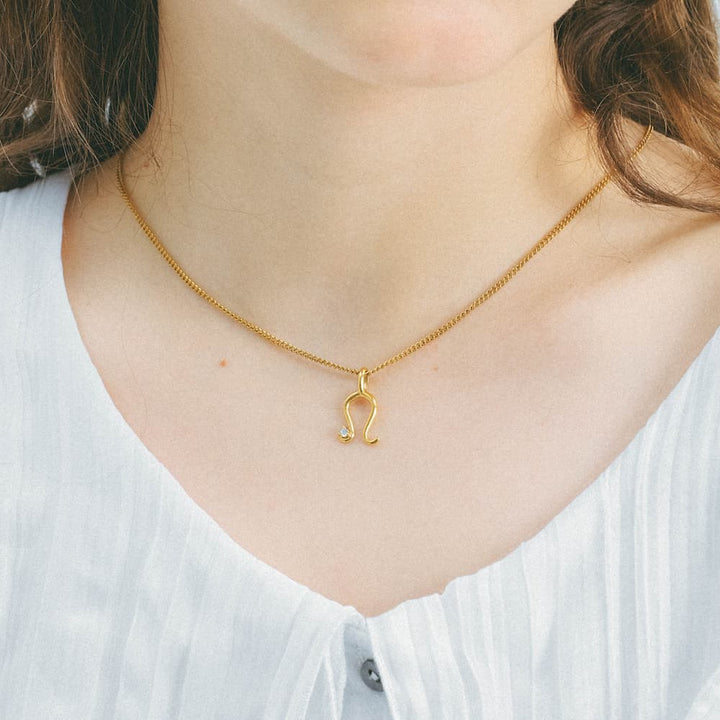 horseshoe zirconia necklace n4