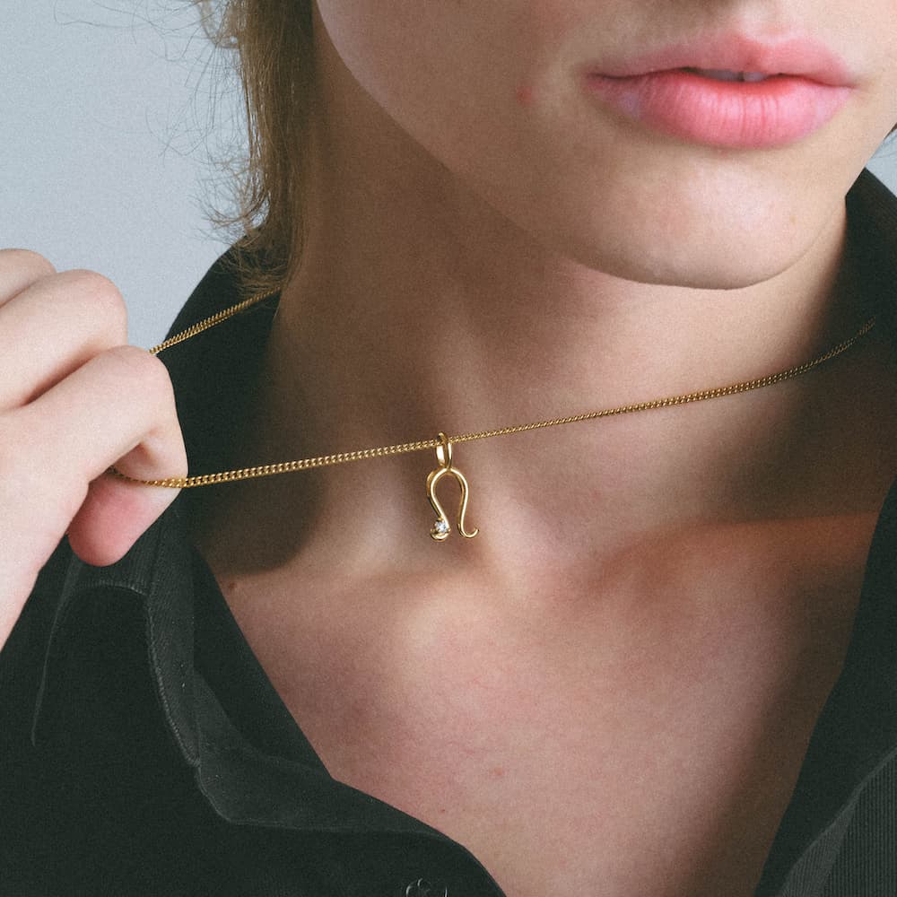 horseshoe zirconia necklace n4