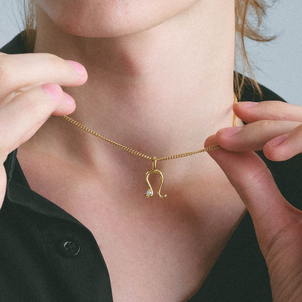 horseshoe zirconia necklace n4